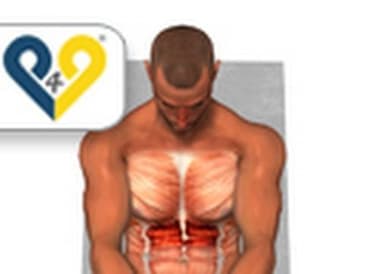 Crunch con spinta delle mani - "Addome alto"