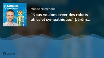 "Nous voulons créer des robots utiles et sympathiques" (Jérôme Monceaux, Enchanted Tools)