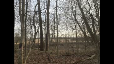 The Burger Chef Murders: The Murder Sheet Episode #4: "You Never Can Forget: The Backbone”