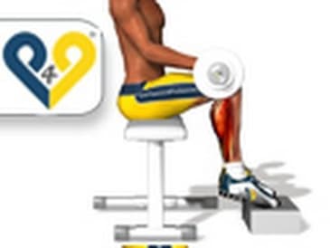 Seated barbell calf raise exercise
