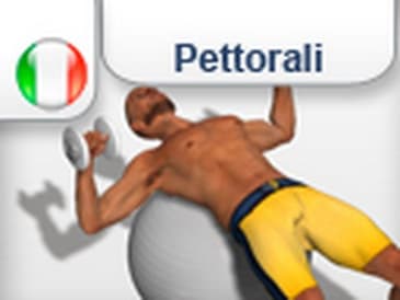 3D Instruzioni per Esercizio "Chest Press su SB" per Pettorali