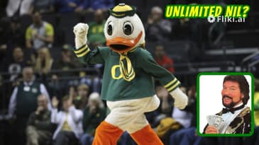 #twofivedaily  - UNLIMITED NIL: THE OREGON MIGHTY DUCKS