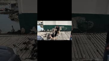 lol, adventures are  kinda our thing!!! #ndh #podcast #coparenting #makingmemories