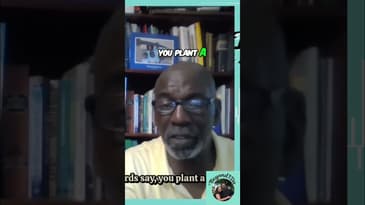 Planting Seeds of Love: Nurturing Our Garden Together #shorts