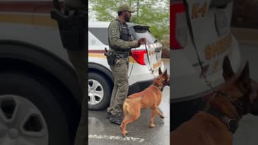 “Push to failure, then train past it”