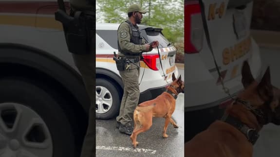 “Push to failure, then train past it”