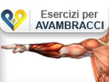 Esercizi Avambracci : Flessioni polsi con bilanciere