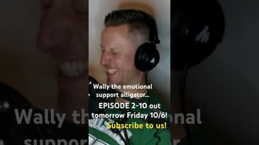 Stay in the Gray Podcast Clip - Wally the emotional support alligator #newpodcast #wallythealligator