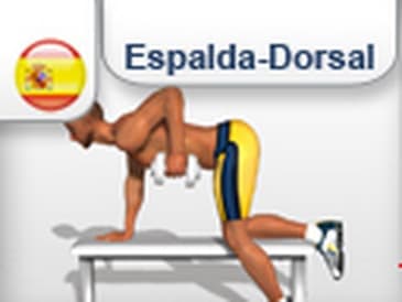 Ejercicio para sacar Musculo Espalda /  Dorsales