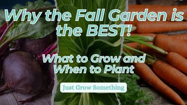 Extend Your Harvest: Fall Garden Tips - Ep 259