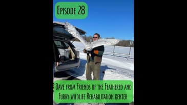 Episode 28 - Dave From friends of the Feathered and Furry