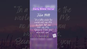 Daily #Bible Verse: John 14:19 #bibleverse #motivation #inspiration