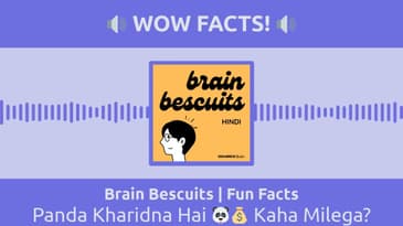 Brain Bescuits | Fun Facts - Panda Kharidna Hai 🐼💰 Kaha Milega?