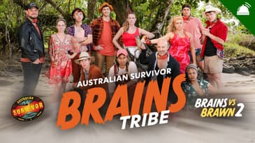 Survivor AU: Brains v Brawn II | Brains Cast Assessment