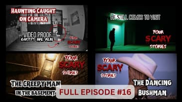 Your Scary Stories Episode #16: VIDEO PROOF GHOST ARE REAL, Dancing Bush Man, Creepy Man in Basement