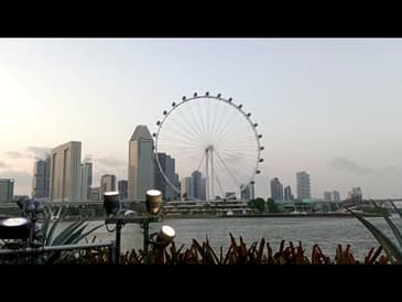 Gardens By The Bay Singapore Day Tour / Vlog Review No. 250