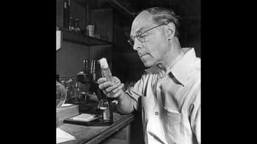 Are radiation limits a lie? with Ed Calbrese