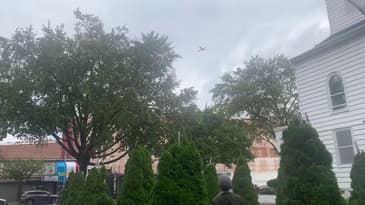 R/C Meets Drone with Zing's Go Go Bird