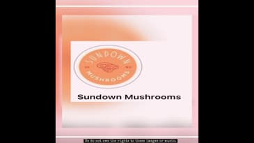 Intro Video | Sundown Mushrooms | Yoga Haven | Mysore LV | Vegas Circle Podcast