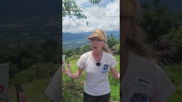 What "Pura Vida" Really Means In Costa Rica! Globe Aware  #travel