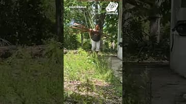 No Gym Needed Here! Corporate Volunteering in Guatemala with Globe Aware (Clip 1) Bond group