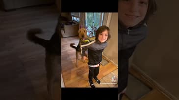 Airedales are the best!! 🥰 We love you Billie! 💜 #airedale #doggiesoftiktok #terrier #billie