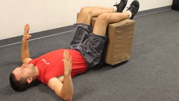 Static Back Reverse Presses