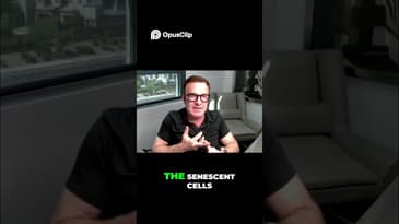 How Your Immune System Can Fight Cancer (Natural Killer Cells Explained)