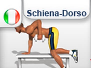 Ginnastica per allenare muscoli  Schiena -  Dorsali