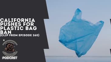 California Pushes for Plastic Bag Ban