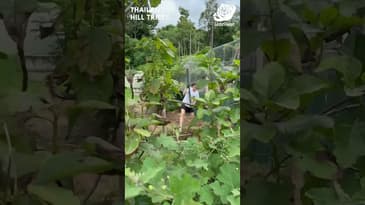 The Chickens Need More Room! Hill Tribes, Thailand with Globe Aware ( Clip 1)