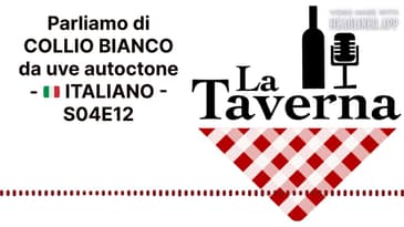 Parliamo di COLLIO BIANCO da uve autoctone - 🇮🇹 ITALIANO - S04E12 | La Taverna Friuli Wine