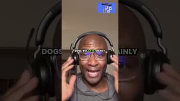 Dogs in First Class, A Pampered Pooch #rhythmandroam #podcast  #furrycompanion #globetrotterpets