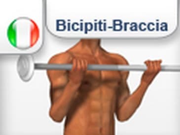 Curl in piedi con bilanciere diritto - allenamento braccia bicipiti
