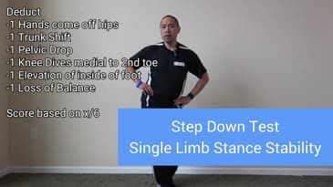 Single Leg Step Down Test