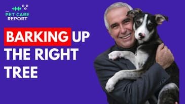 Barking Up The Right Tree - Dog Training 101 with Dr. Ian Dunbar