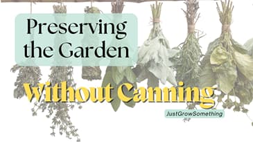 Preserving the Garden Bounty without Canning - Ep. 321