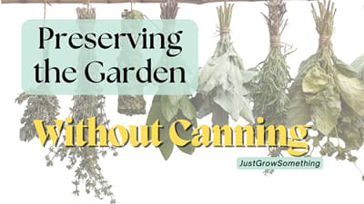 Preserving the Garden Bounty without Canning - Ep. 321