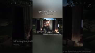 Unleashed: The Wild Donkey's Untamed Journey