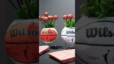 OliviaHo: WNBA Licensing in Canada