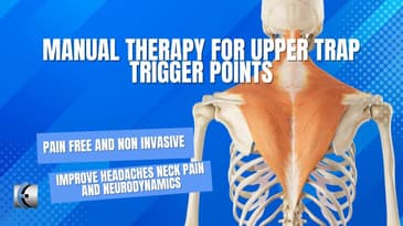 Manual Therapy for Upper Trap Trigger Points/Headaches