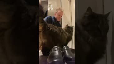 Varje kväll innan han går ut så ska han hålla på och såra mig på det här viset…