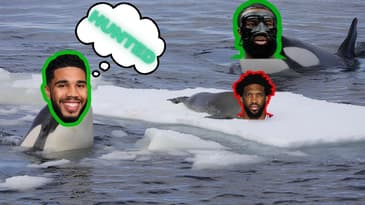 How the Celtics HUNTED Embiid and the 76ers : Film Session