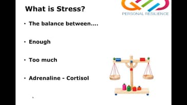 Stress and Resilience