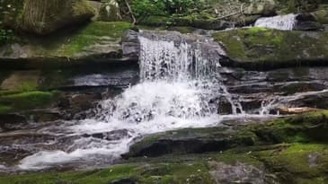 Unleash the Power of Adaptability | Dr. Davina's Dots :Podcast Teaser