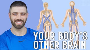 You’re a Giant Brain?! Fascia, Pain & the Third Brain Explained 🧠🔥