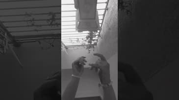 satisfying video ... lyrical.. #art #drawing