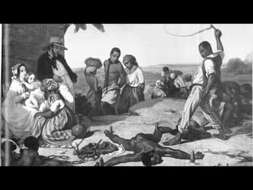 Black On Black Crime Is A Myth And Does Not Exist! (Here's Why!)