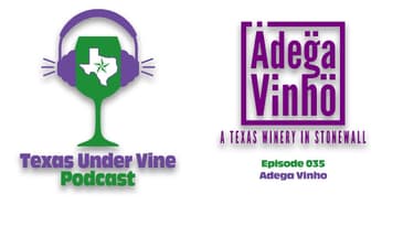 Episode 035 - HC - Adega Vinho