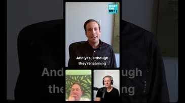 Concrete - The Human factor  #Architecture #Construction #Podcast